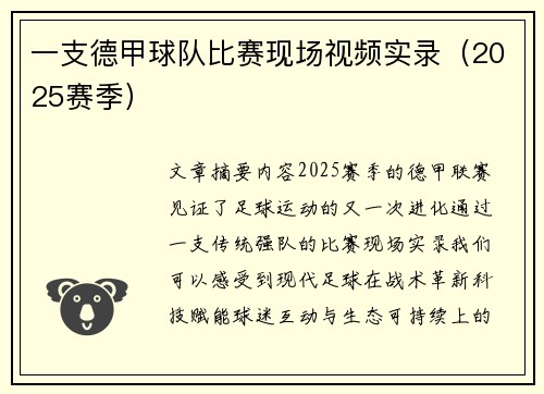 一支德甲球队比赛现场视频实录（2025赛季）